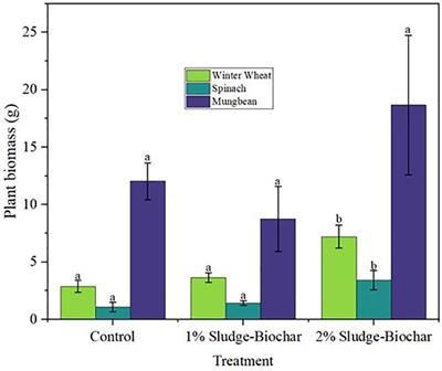 Efficacy of sewage sludge derived biochar on enhancing soil health and crop productivity in strongly acidic soil